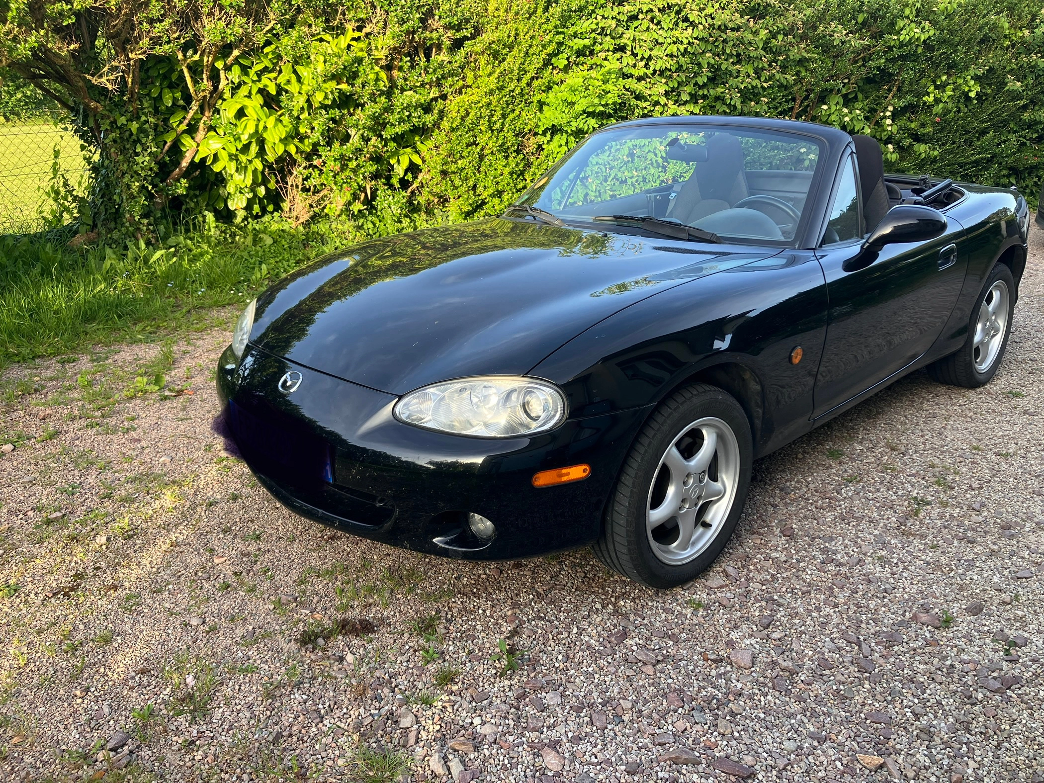 MAZDA
