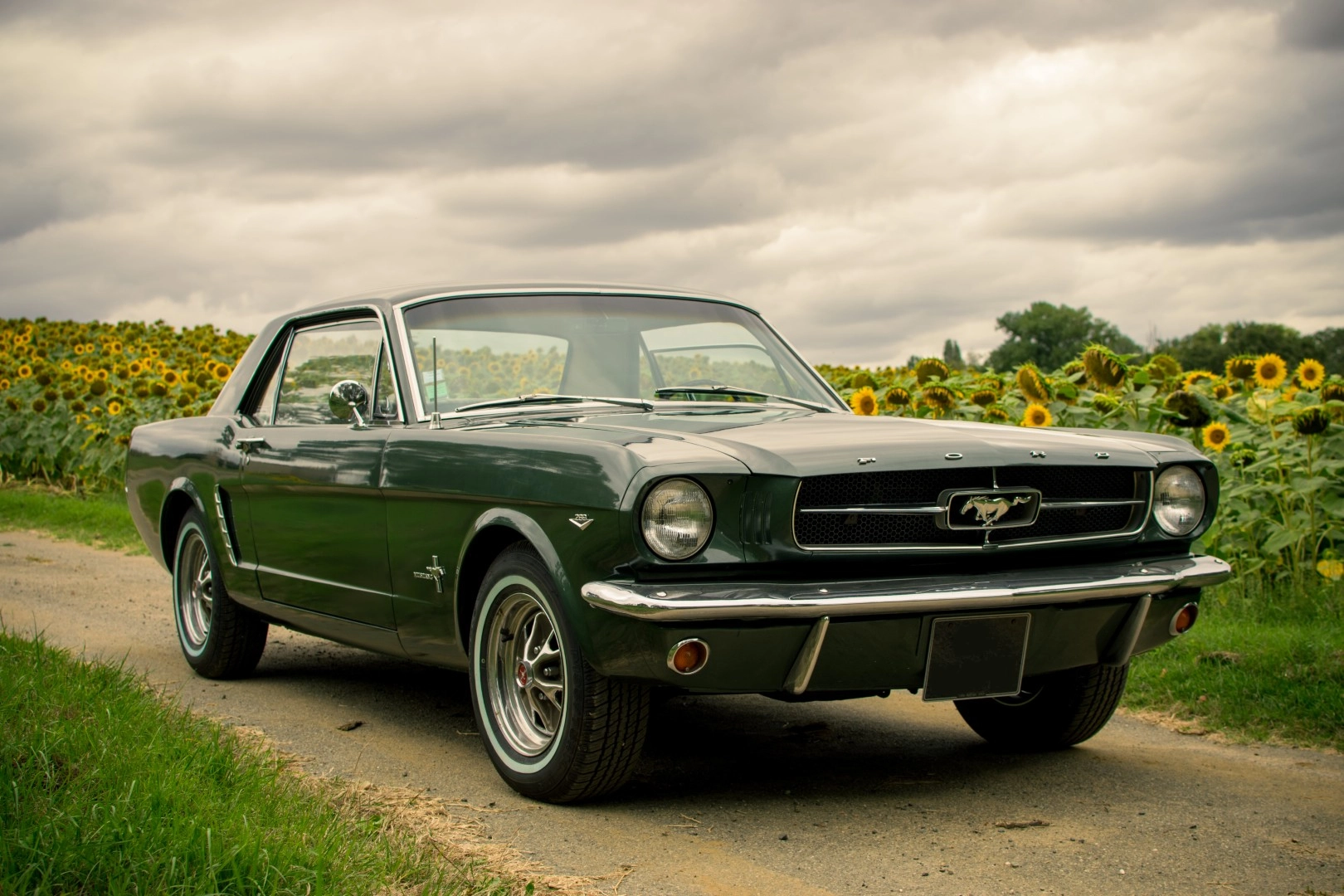 FORD