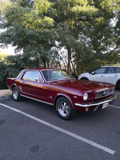 FORD MUSTANG