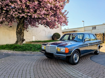 MERCEDES W123 