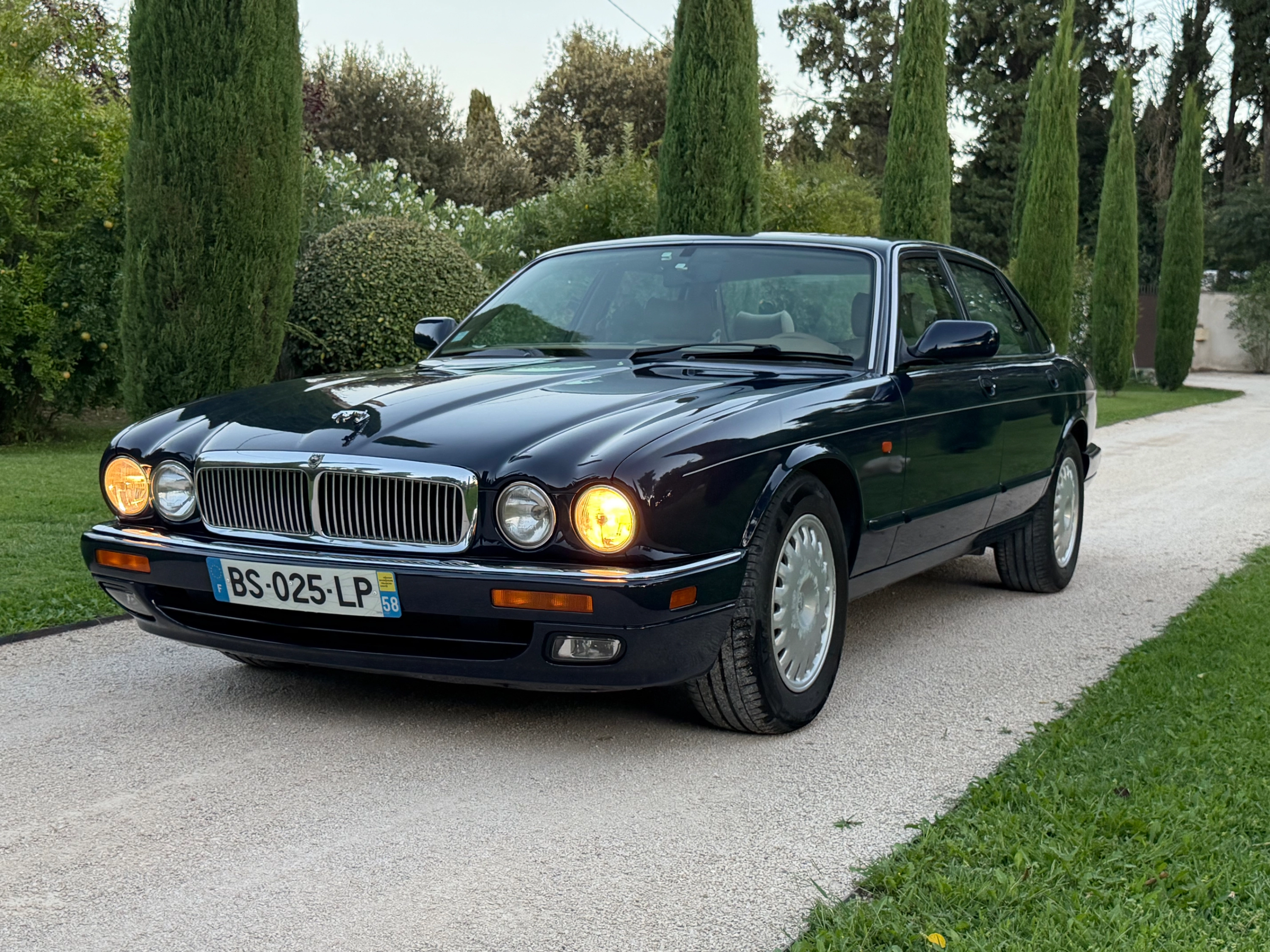 JAGUAR