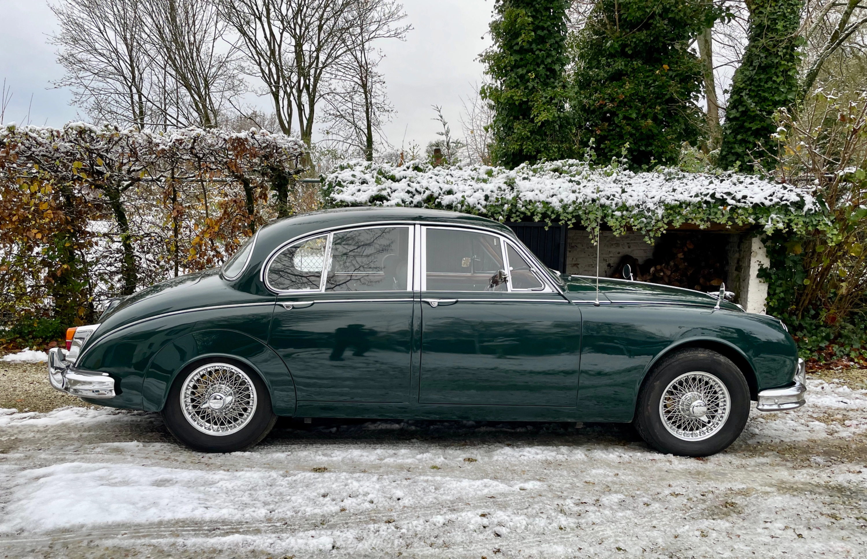 JAGUAR