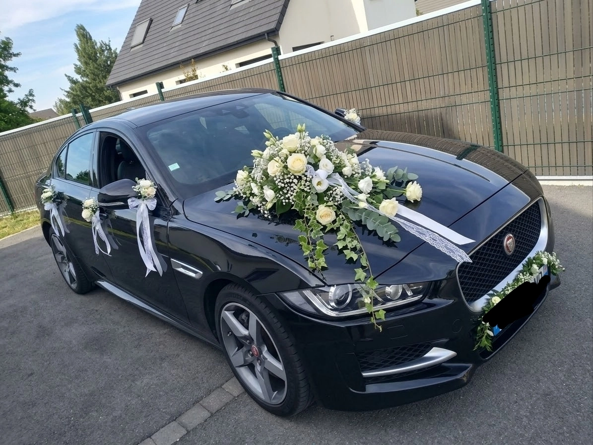 JAGUAR