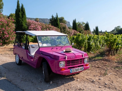 CITROEN EDEN MEHARI