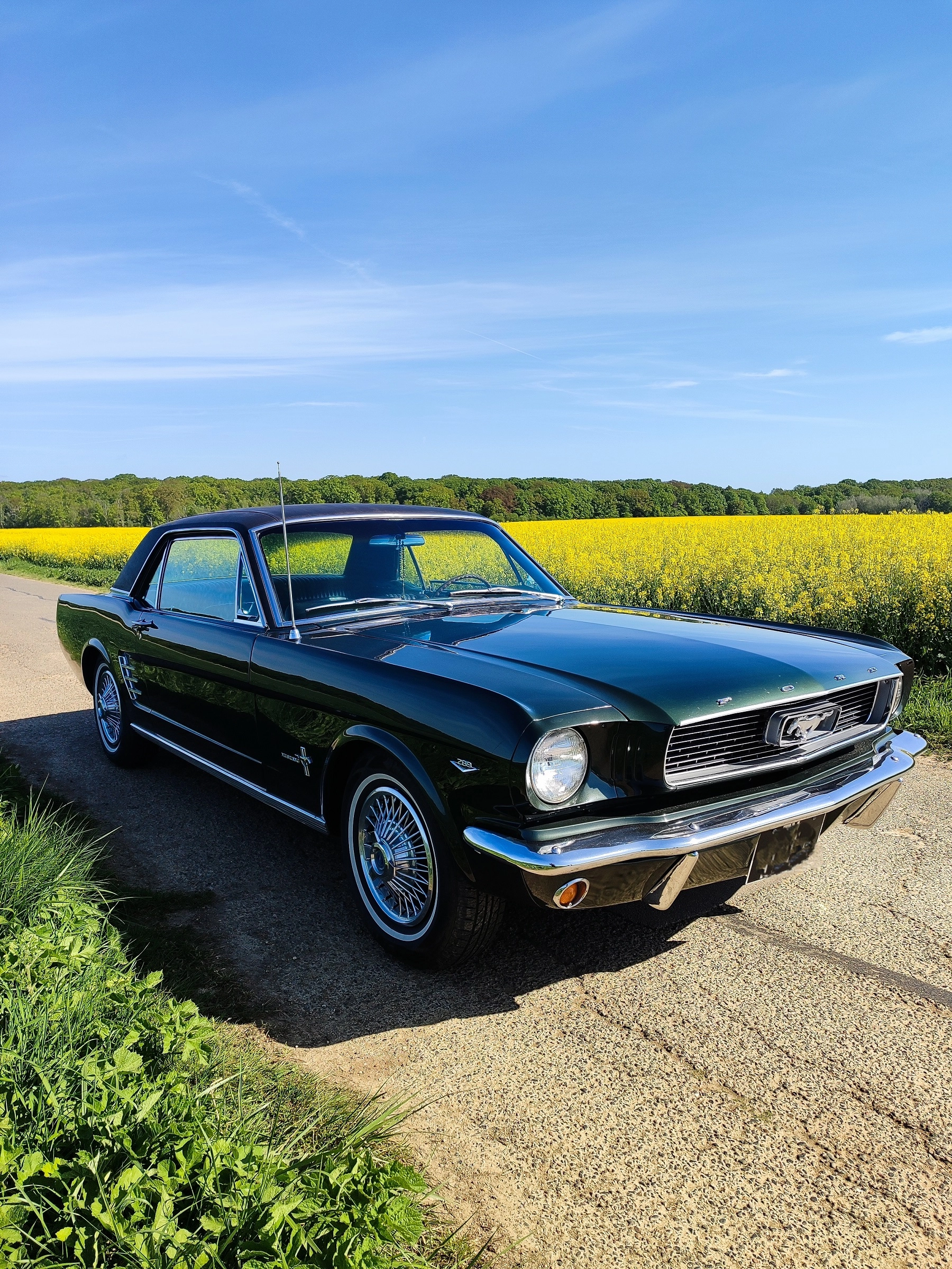 FORD