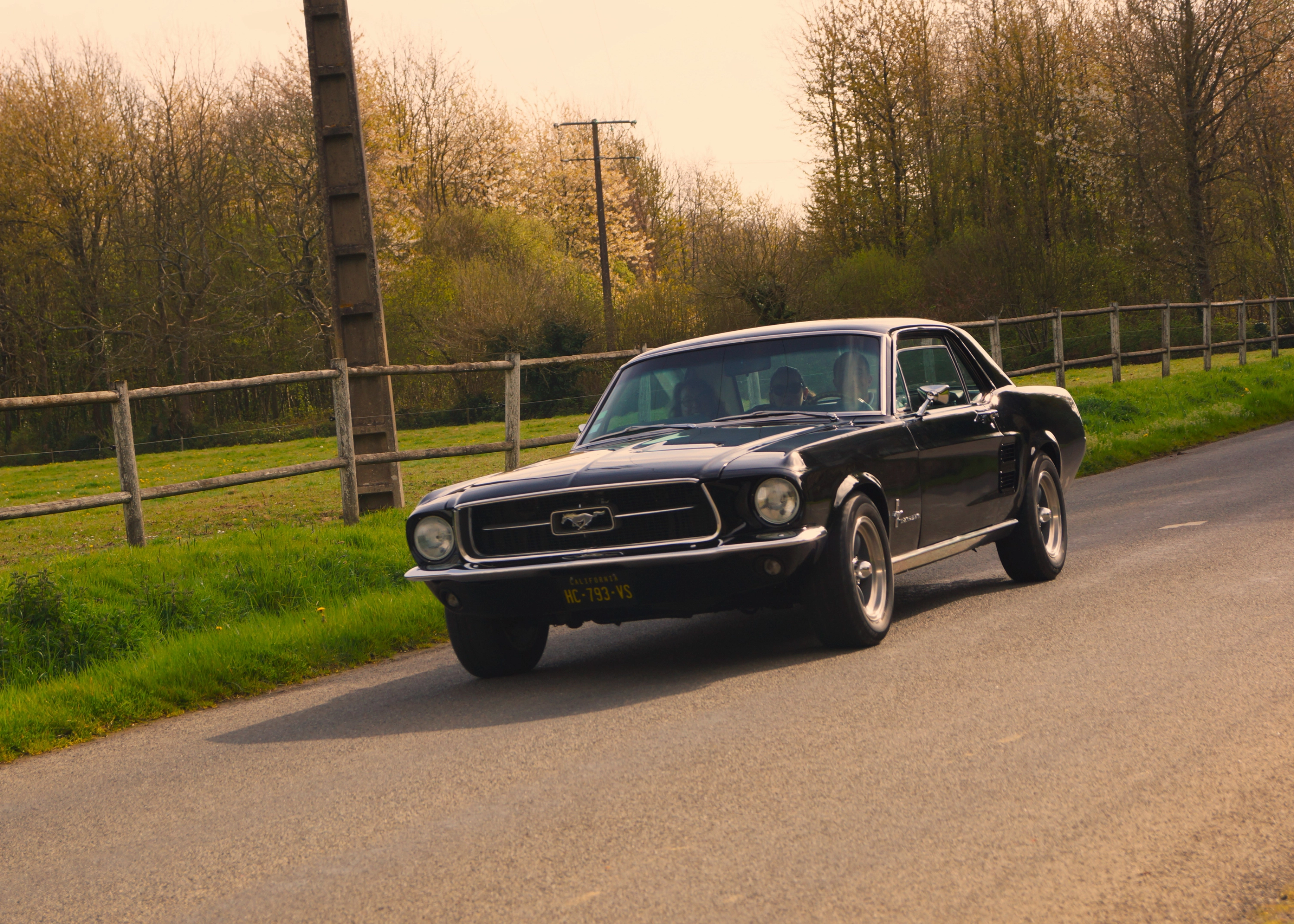 FORD