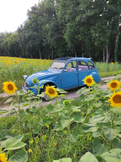 CITROEN 2CV